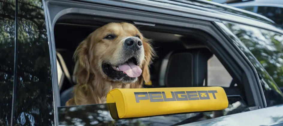 Peugeot entwickelt SUV-Konzept für Hundebesitzer
